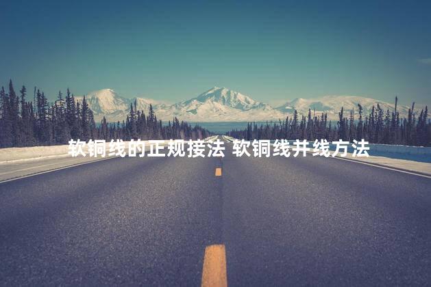软铜线的正规接法 软铜线并线方法